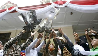Resmikan Rumah Inspirasi, Cagub Khofifah Lepas Sembilan Merpati Resmikan Rumah Inspirasi, Cagub Khofifah Lepas Sembilan Merpati