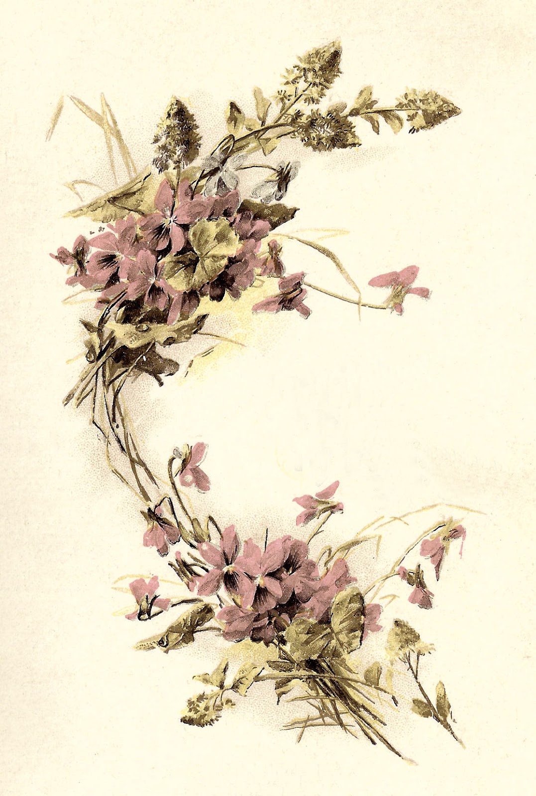 free vintage flower clip art - photo #35