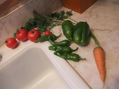 vegetables from my backyard garden, month