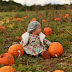 PUMPKIN PATCH