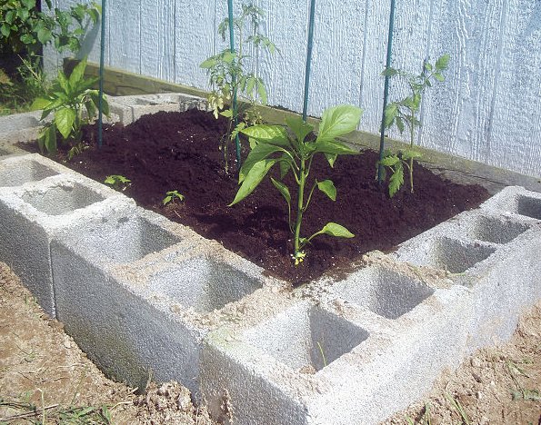 Honey & Butter: Making a Cinder Block Raised Bed Garden