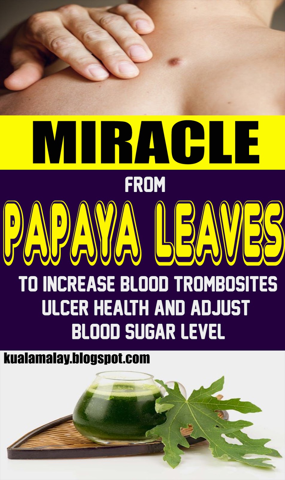 Increment Blood Platelets, Heal Ulcers And Regulate Blood Sugar Levels With Papaya Leaf Juice