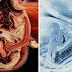Scientists Recorded What Sex Looks Like In 4-Dimensional Ultrasound And Watch The Results
