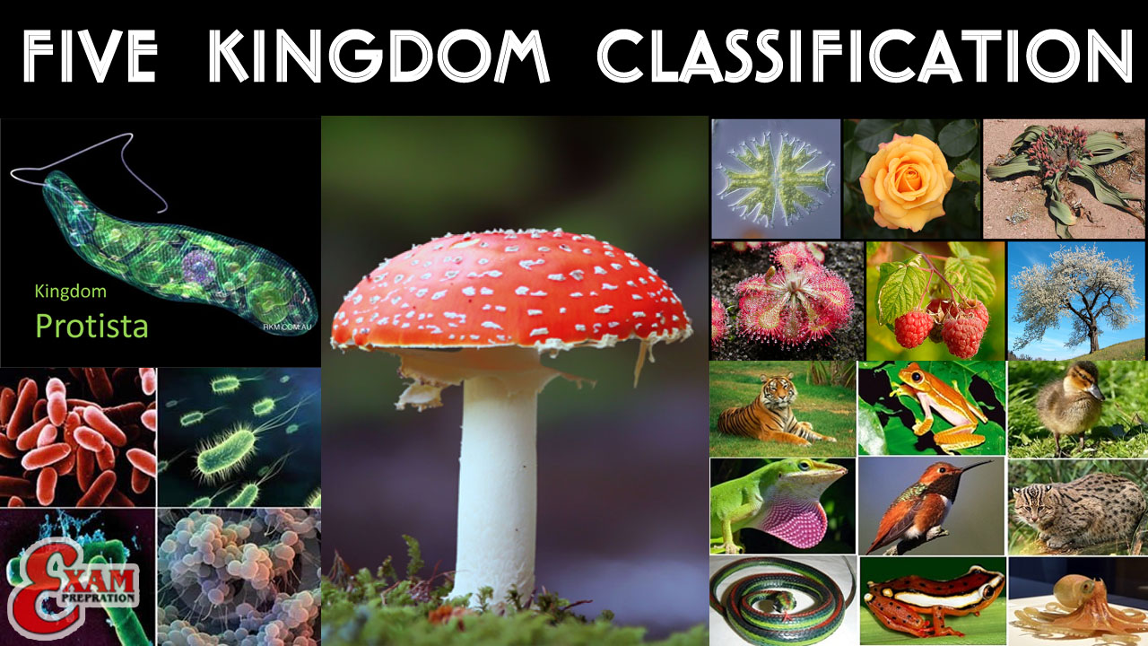 Exam Preparation Biology Study Material and Notes