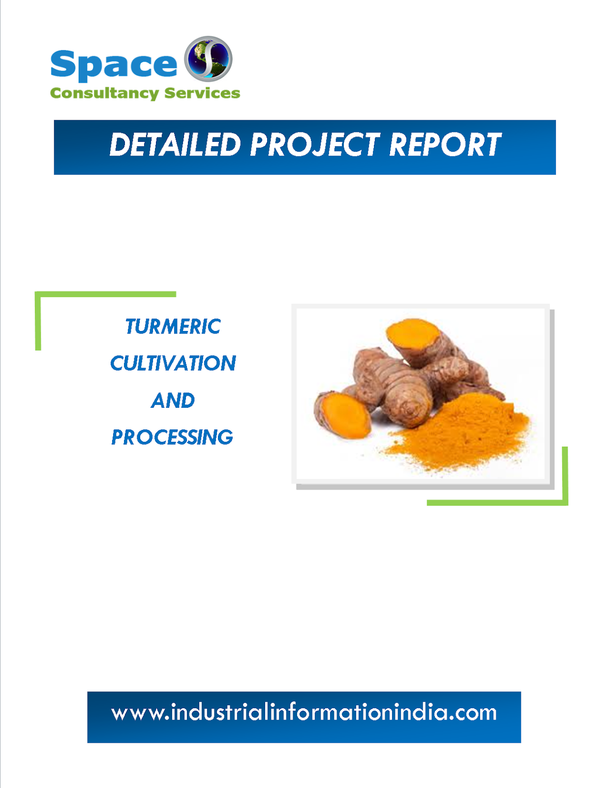 Turmeric Cultivation and Processing Project Report Space Consultancy Services