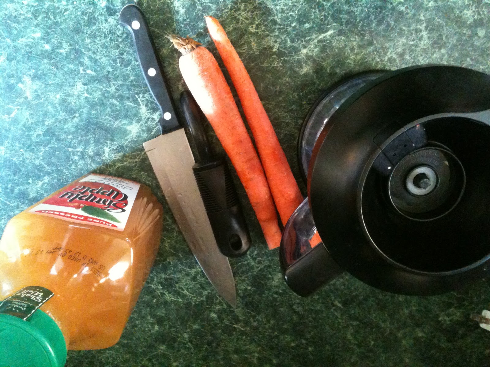 Honey's Creative Homemaking Carrot and Apple Juice Using A Kitchen Ninja