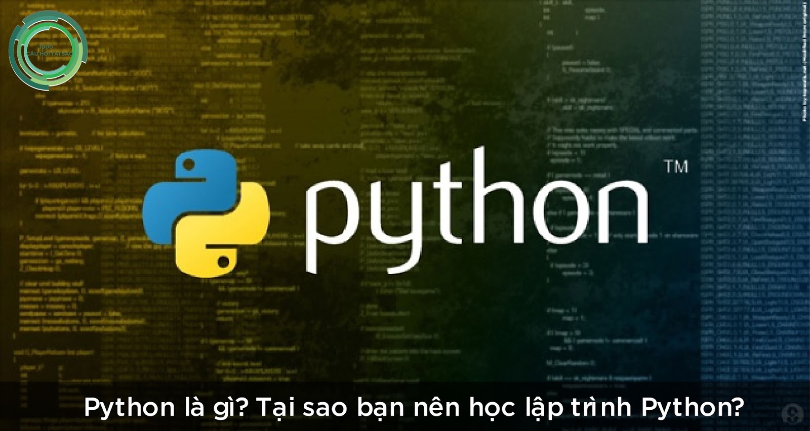 Python là gì? Tại sao bạn nên học lập trình Python? - 10 Vạn Câu Hỏi Vì ...