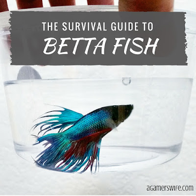 The Survival Guide to Betta Fish
