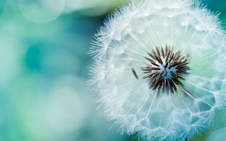 How to Change Patterns of Behavior in Alzheimer's care and Dementia Care