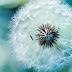 How to Change Patterns of Behavior in Alzheimer's and Dementia Care