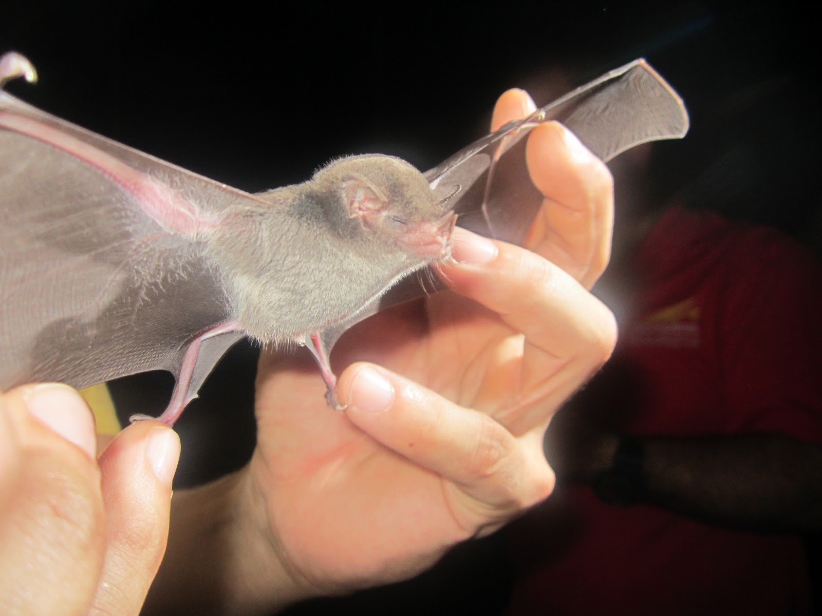 east coast heart and a west coast mentality NASBR conference in Puerto