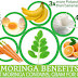 WHY THE MORINGA  PROJECT?