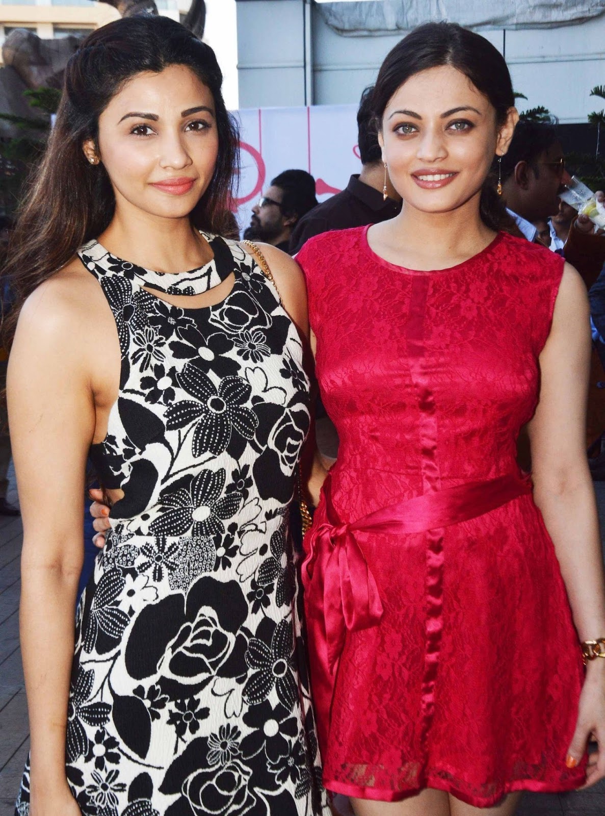 Elli Avram, Sneha Ullal, Daisy Shah and Other Sexy Celebrities At Harvey India's Christmas Brunch Hosted by Joe Rajan