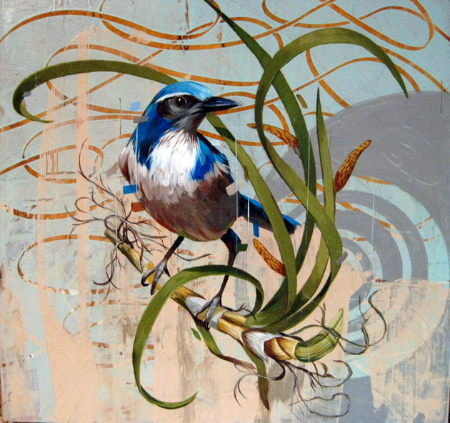 Bird Paintings By Frank Gonzales