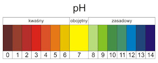 skala-ph.jpg