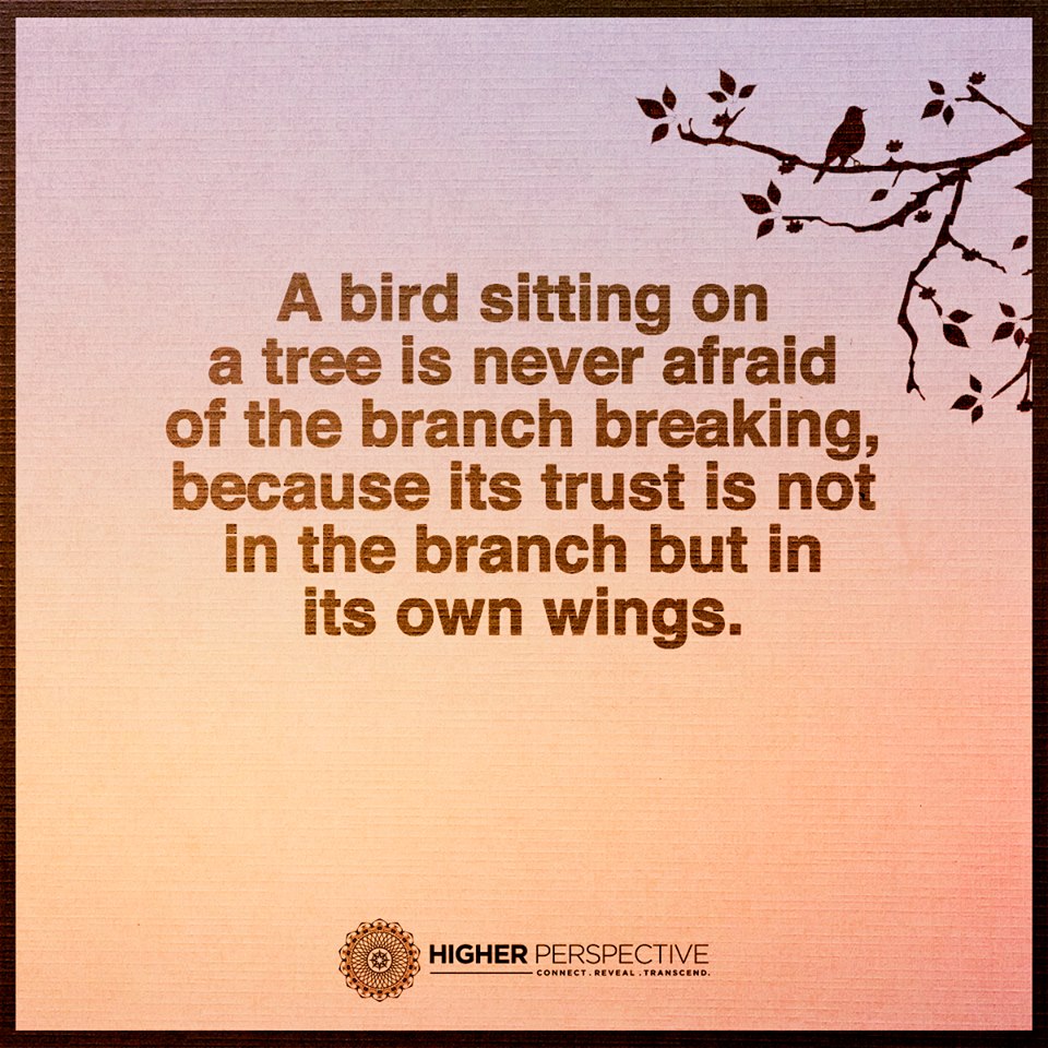 A bird sitting on a tree is never afraid of the branch breaking