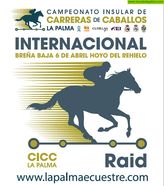El Campeonato de Raid de La Palma Ecuestre arranca este sábado en Breña Baja con la disputa de una prueba internacional