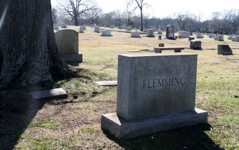 Climbing the Branches of My Family Tree SATURDAY'S STRUCTURE Elmwood