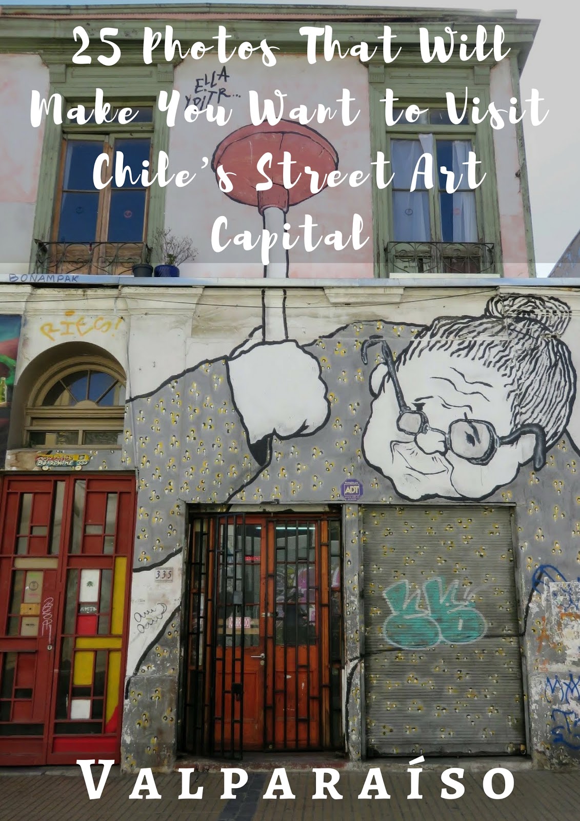 The Savory Tort Warren