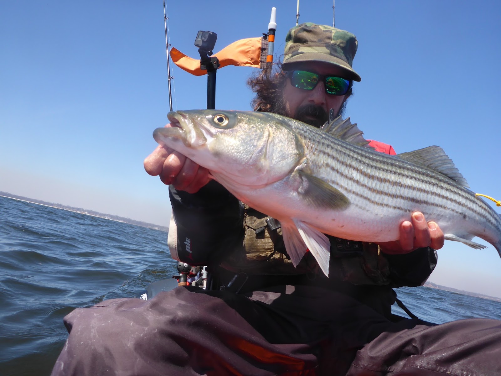 new jersey fishing report fishing new jersey NJ fishing fishing