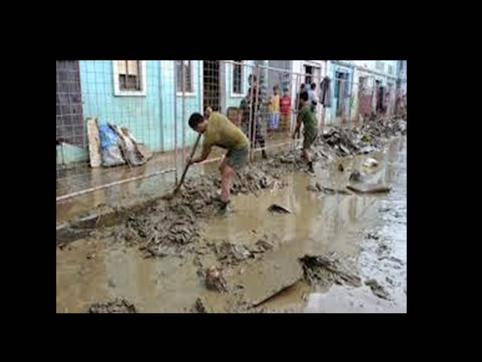 JORNAL BIOVIDA Qual a diferença entre