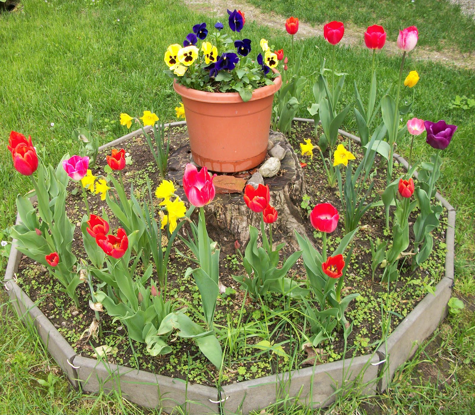 Writing Straight From The Heart Small Round Flower Garden Brings Small Round Flower Garden Brings Color And Variety