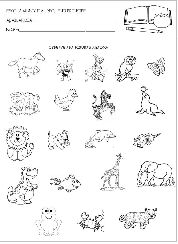 AMOR PELA A EDUCAÇÃO: Atividade de alfabetização com animais
