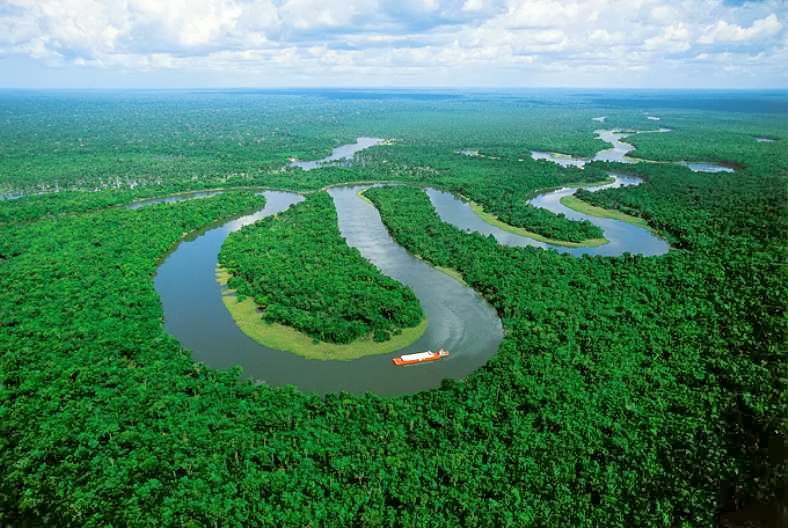 Design Sensible: Yann Arthus-Bertrand's photos from Brazil.