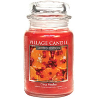 Village Candle Citrus Medley