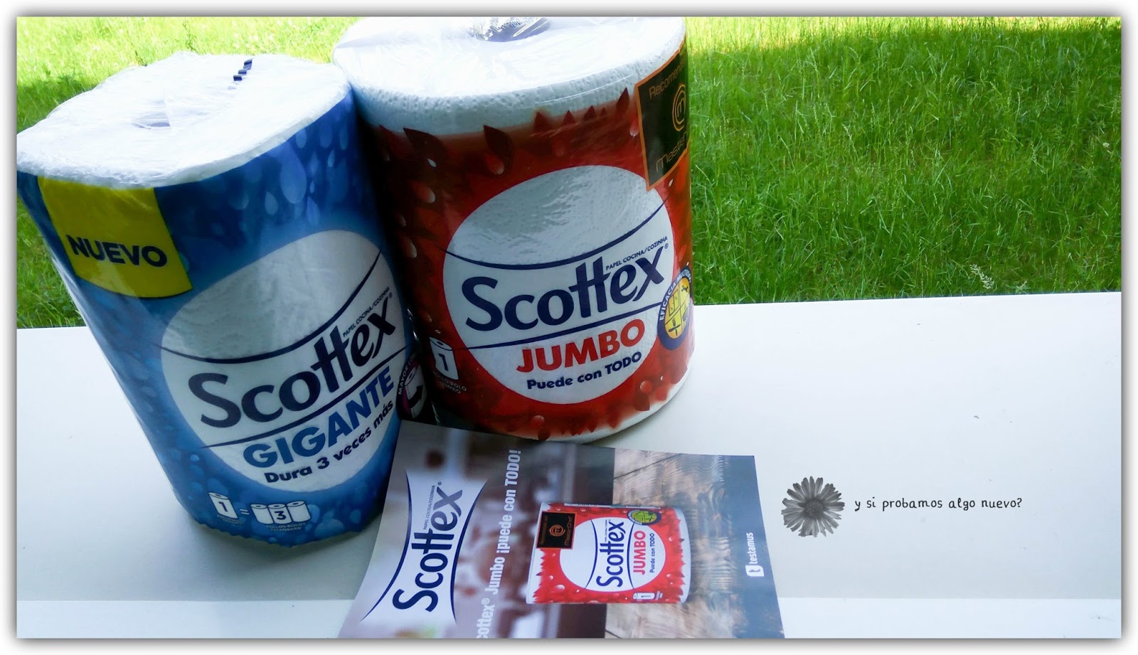 Carta Multiuso Scottex Jumbo - Rotolo Compatto Per Pulizie Domestiche - Foto 9