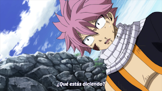 Ver Fairy Tail Temporada Final - Capítulo 295