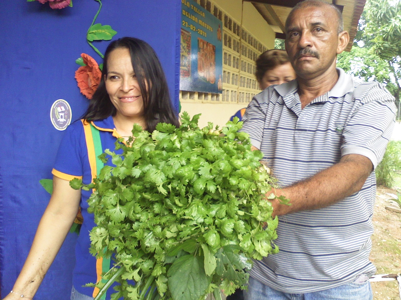 SIEMBRA EN LA ESCUELA