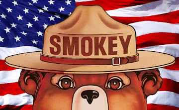 ONLY YOU CAN PREVENT WILDFIRES