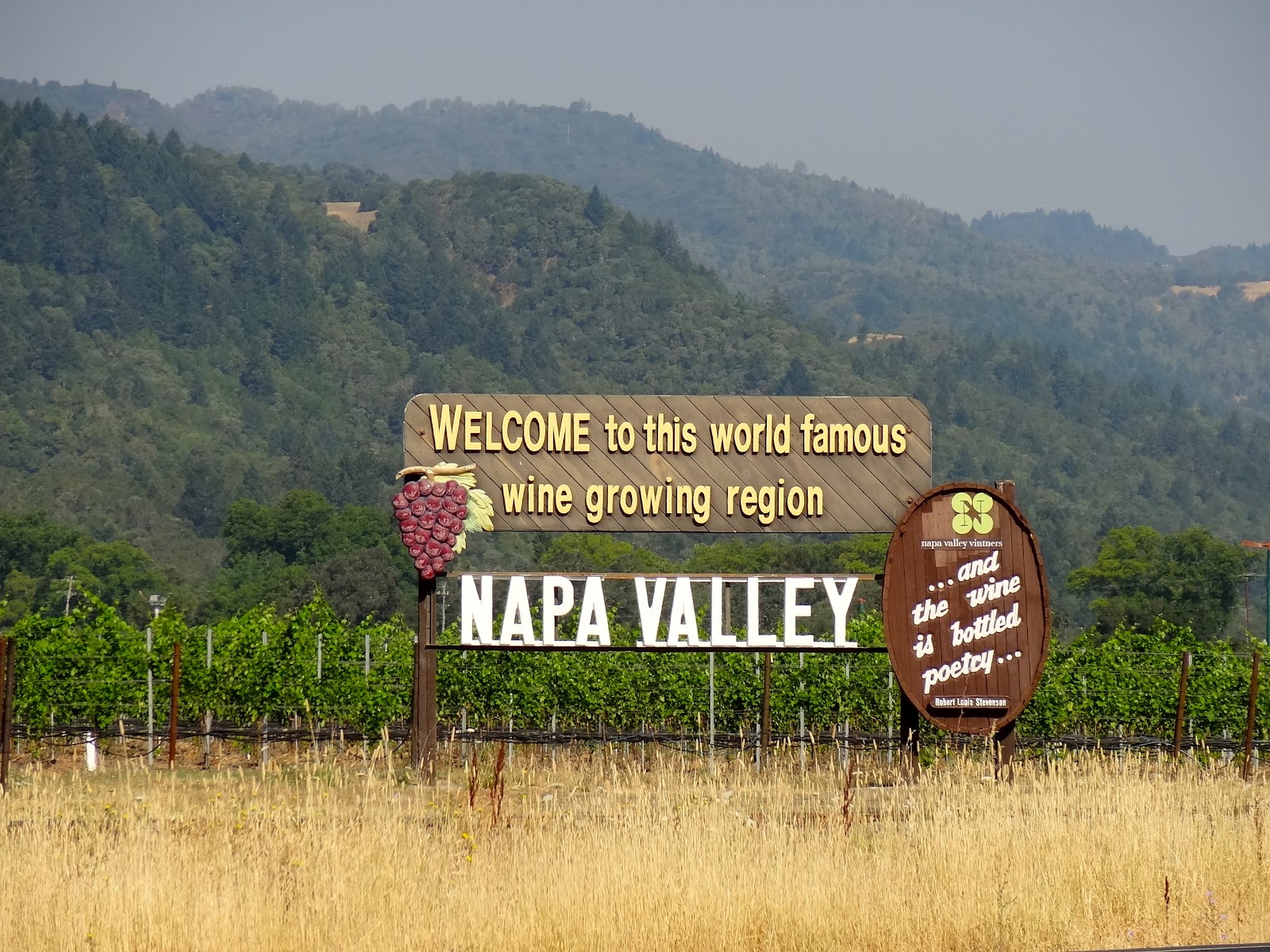 Napa Valley Bike Tour 16 Miles of Wine and Torture The World of Deej