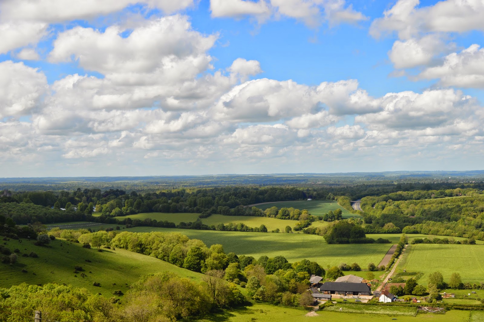Random encounters with the unusual Beacon Hill and the Mummy's Curse