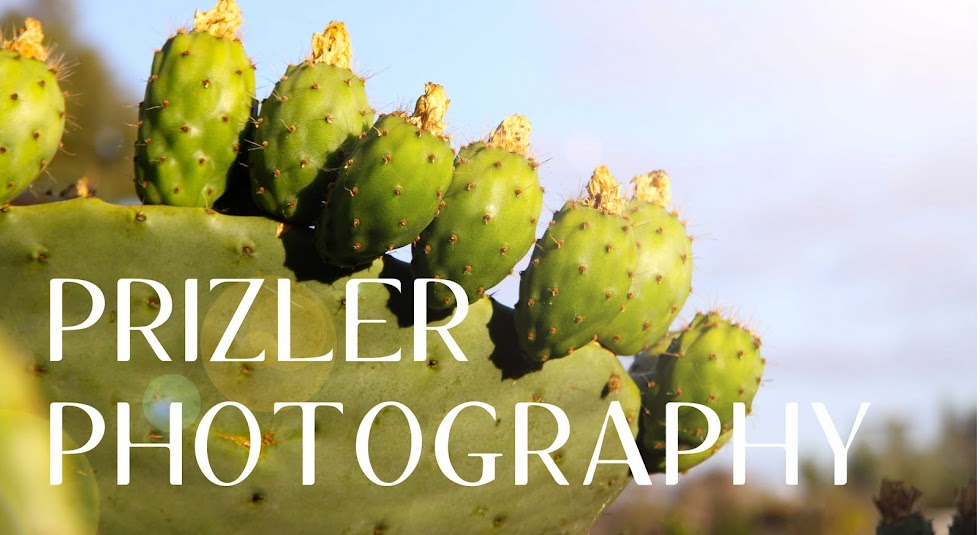 Prizler Photoblog