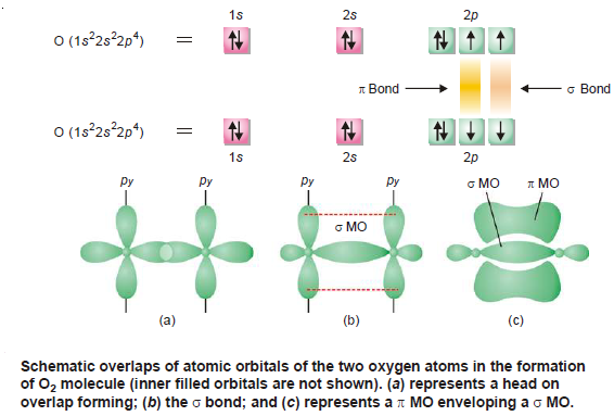 Orbital Representation of Molecules