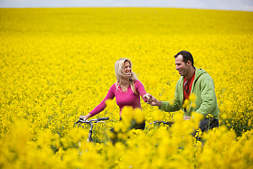 Keine bedingungen für online-dating