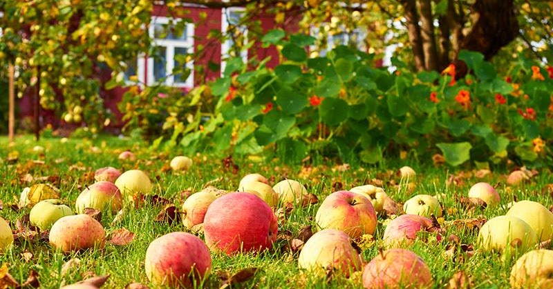Кава для панянок від Катерини