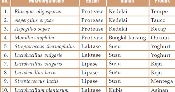 Science Club Mikroorganisme Yang Berperan Dalam Pembentukan Makanan Dan Minuman