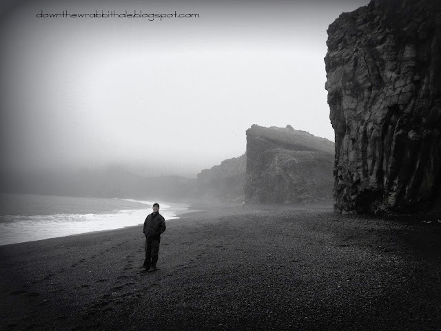 black sand beach Vik Iceland