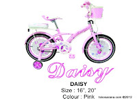 City Bike Family Daisy 20 Inci