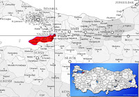 Altınova ilçesinin nerede olduğunu gösteren harita.