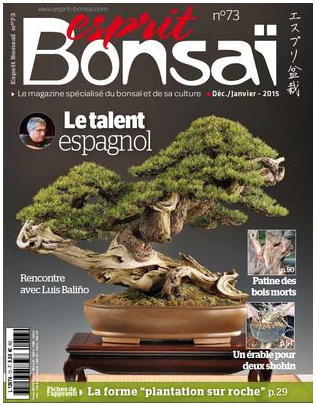 http://www.esprit-bonsai.com/magazine/magazines-papier-a-l-unite/3265-esprit-bonsai-n-073.html#menu_centre