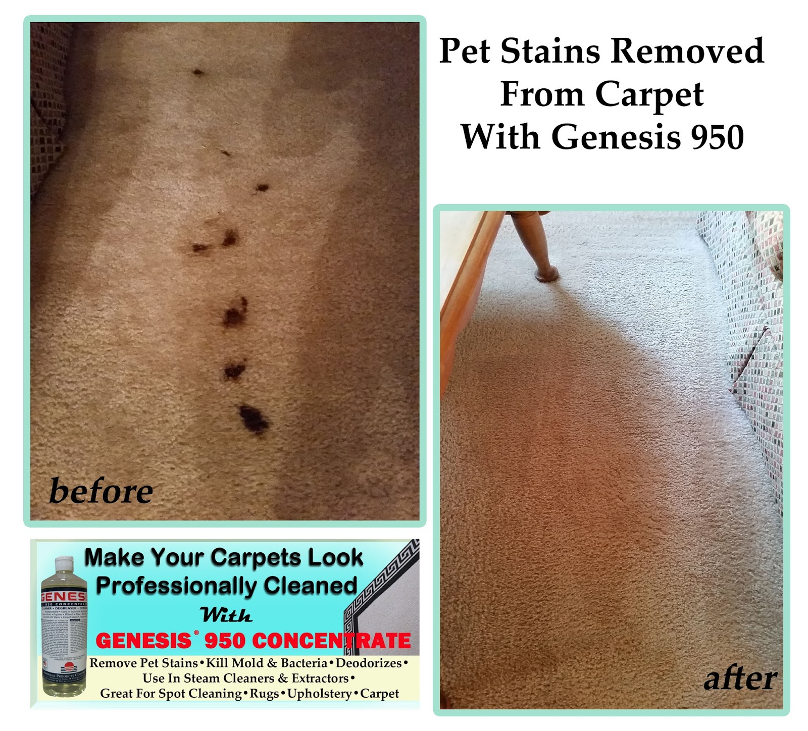 how to remove dog blood stains from carpet