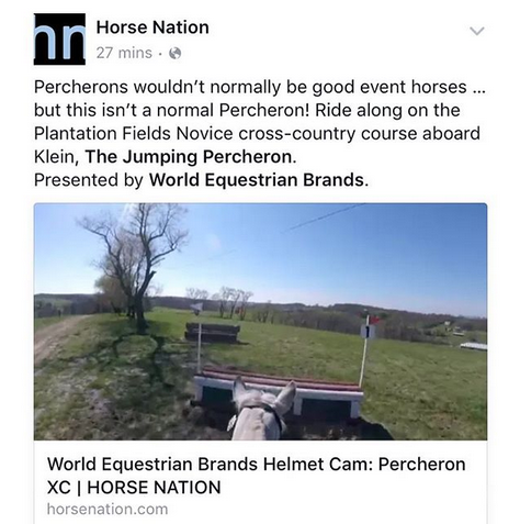 The Jumping Percheron Klein On Horse Nation