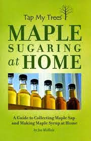 Its Maple Syrup Time!