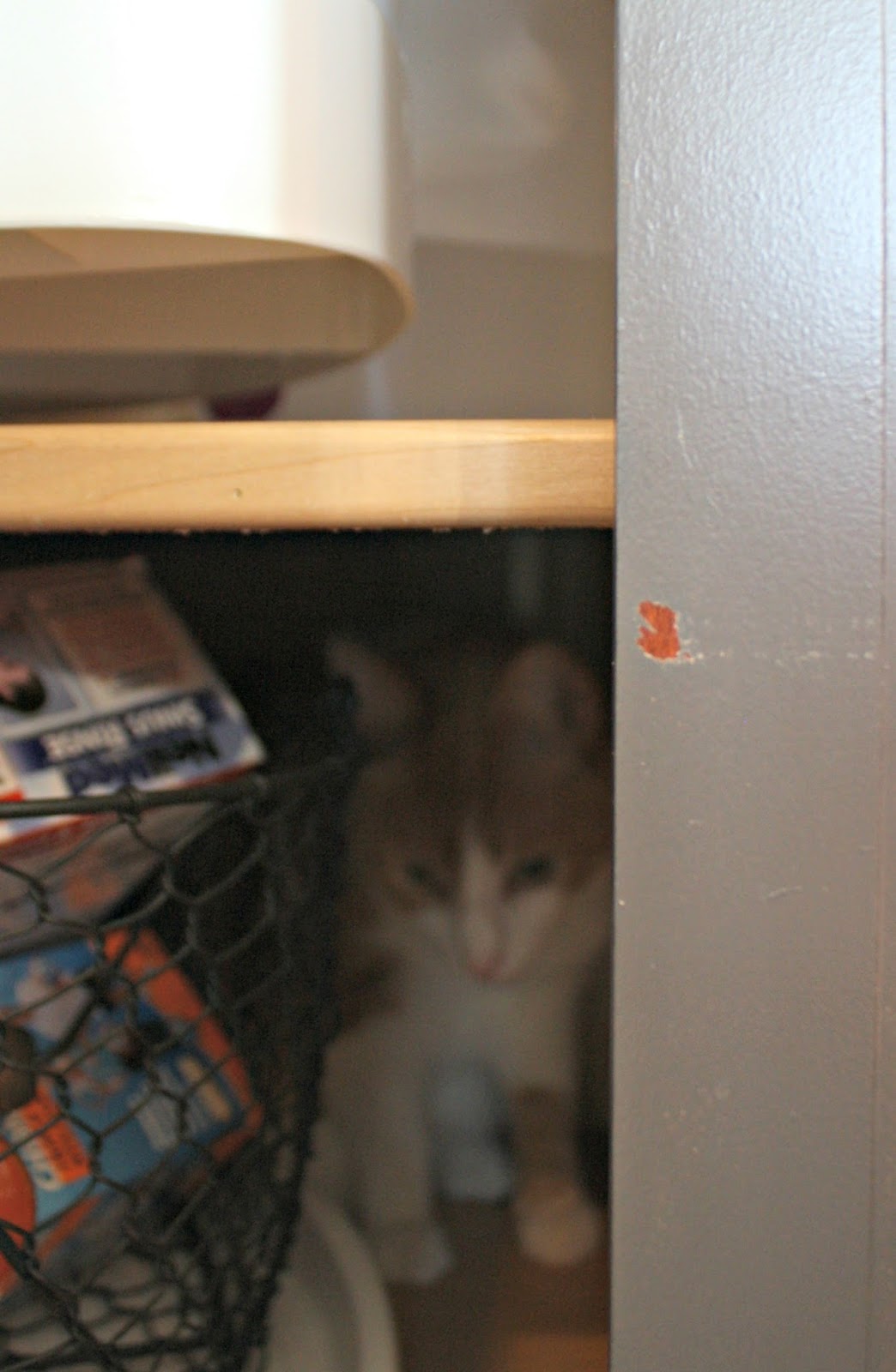 How do painted hold up? Thrifty Decor Chick Thrifty DIY