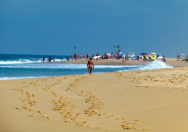 surfin estate blog surf culture lifestyle surfboard skateboard music art trend fashion summer al merrick neck beard bradley nine plus landes france