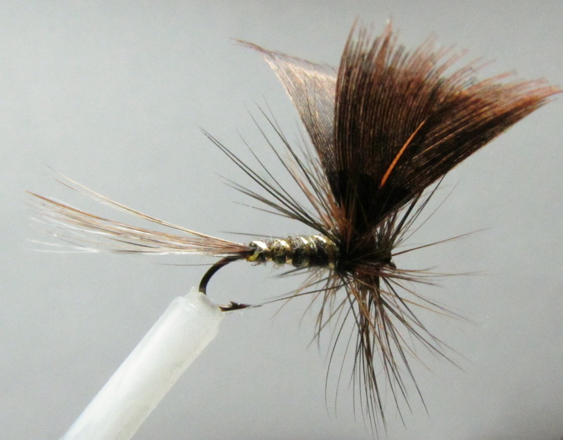 A Creative Fly Tying Blog. Fan Wings Dry Fly.
